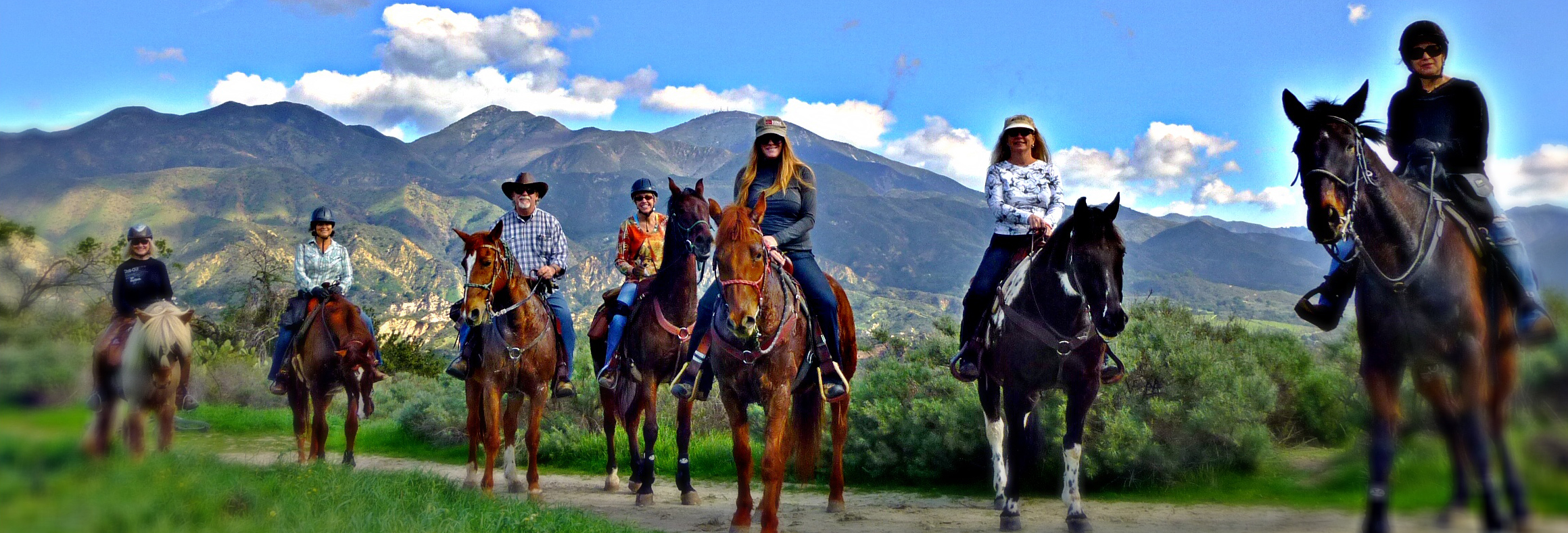 "To me, horses and freedom are synonymous." ~ Veryl Goodnight